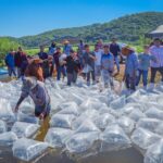 Con el respaldo del gobernador, Rubén Rocha Moya, El Varejonal recibe 2 millones de alevines de tilapia.