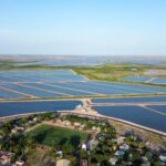 Fortalece Sinaloa la acuacultura con el establecimiento de periodos de siembra y cosecha de camarón para el ciclo 2026.