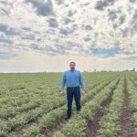 La calidad del garbanzo sinaloense, abre las puertas del mercado del medio oriente: Ismael Bello Esquuivel