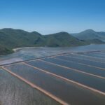 Publican acuerdo para permisos de siembra y notificación de cosecha en unidades acuícolas de Sinaloa.