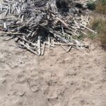 Servicios de recolección de basura en Ahome no se suspenden durante Semana Santa.