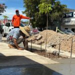 COMUN mejora banquetas y arboriza el centro de Los Mochis con especies regionales.