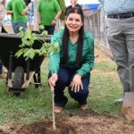 Arborizan Ciudad Universitaria: la UAS, a través de la UBU y Construcción y Mantenimiento planta 33 árboles endémicos de bajo consumo hídrico.