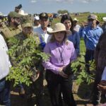 Ahome es sede del inicio simultáneo de ‘Sembrando Vida’, puesto en marcha por la Presidenta Claudia Sheinbaum en Puebla.