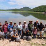 Gobierno de Sinaloa siembra 1.5 millones de alevines de tilapia en la Presa El Sabinal.