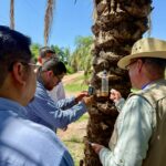 Salud Sinaloa refuerza trabajo de campo para prevenir riesgos asociados al gusano barrenador.